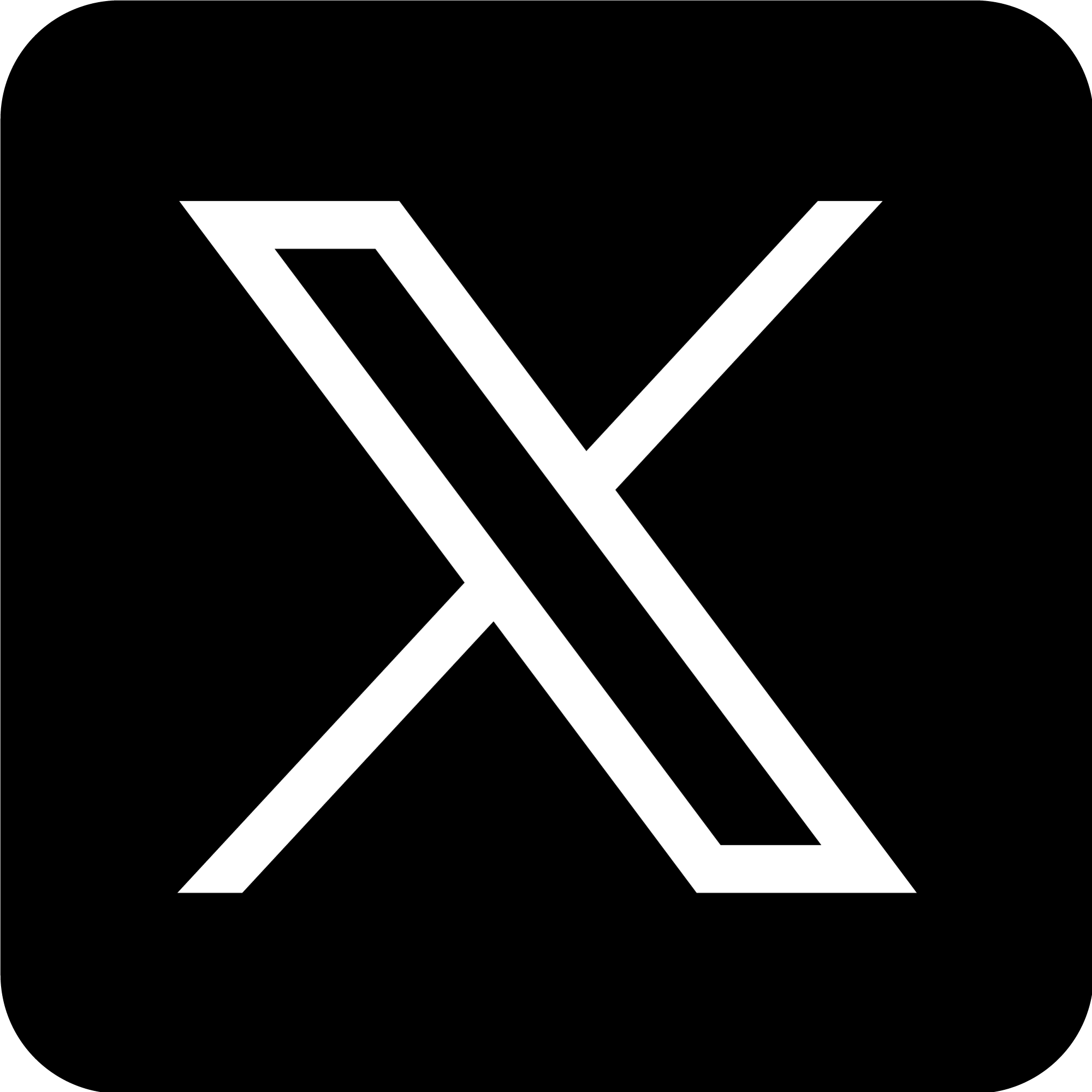 X (Twitter)